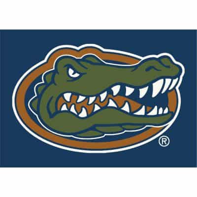 University of Florida 8x11 Spirit Rug