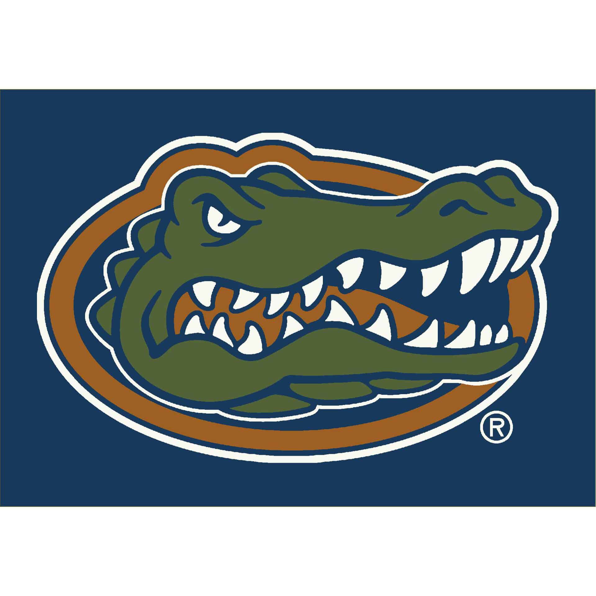 University of Florida 8x11 Spirit Rug 1 University of Florida 8x11 Spirit Rug