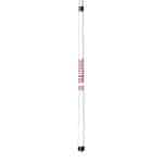 University of Georgia Short Cue 3 University of Georgia Short Cue