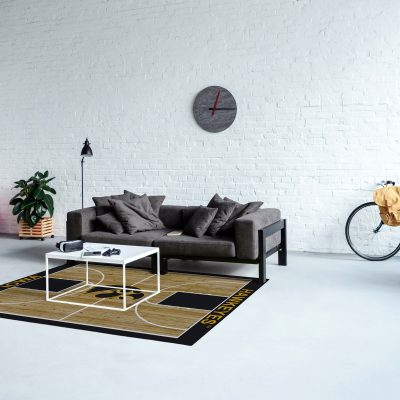 University of Iowa 4x6 Courtside Rug