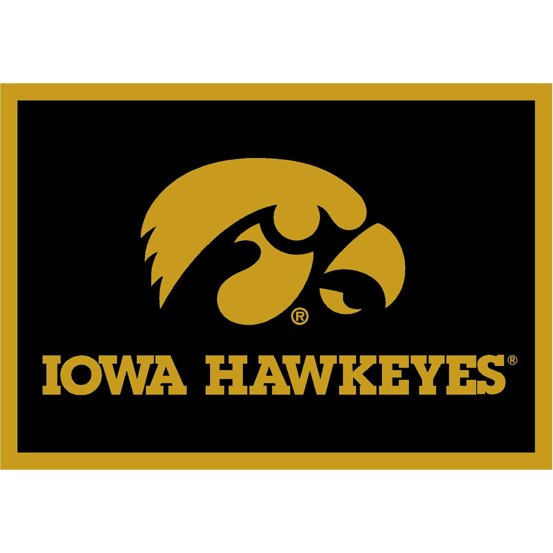 University of Iowa 4x6 Spirit Rug 2 University of Iowa 4x6 Spirit Rug - Image 2