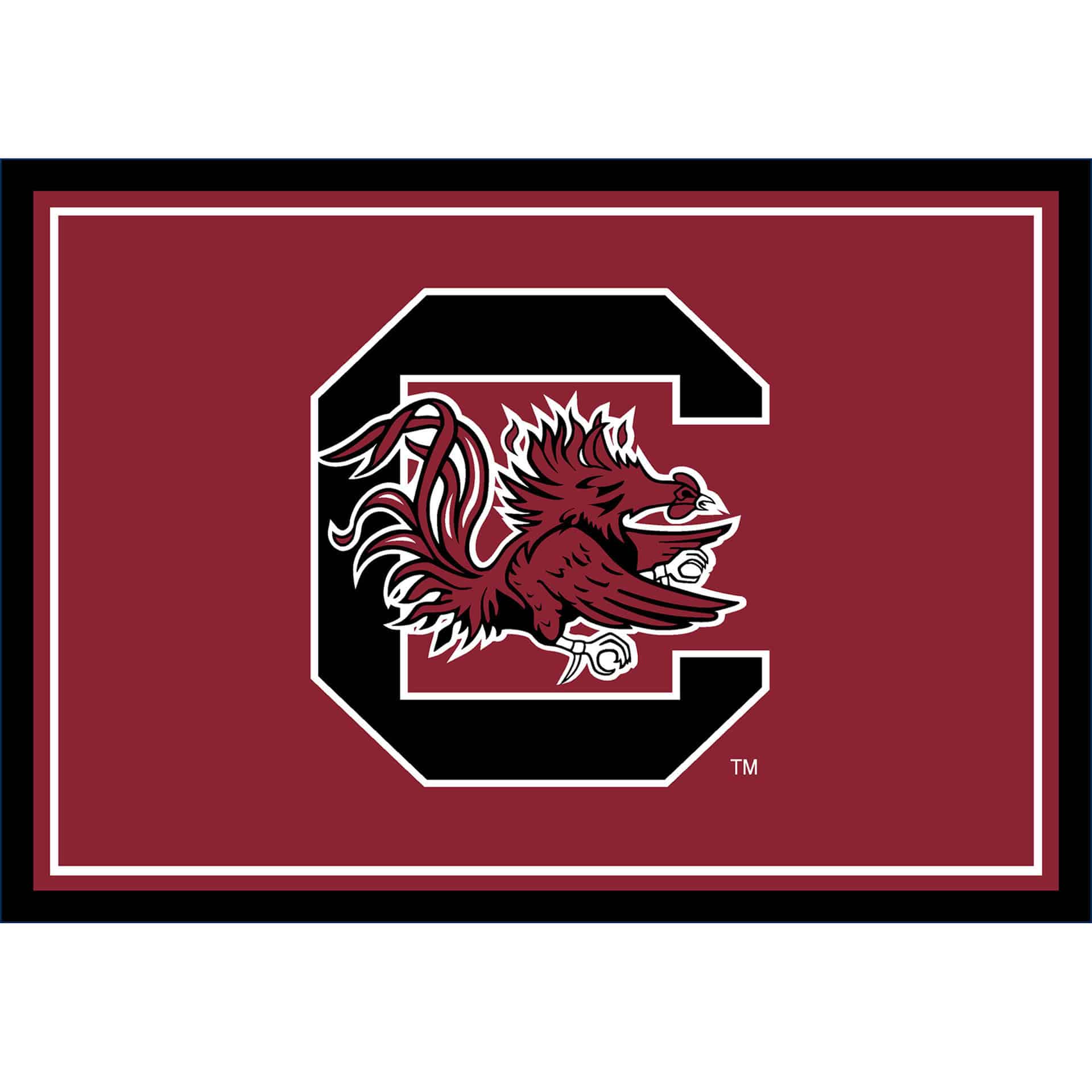 University of South Carolina 3x4 Area Rug 3 University of South Carolina 3x4 Area Rug - Image 3