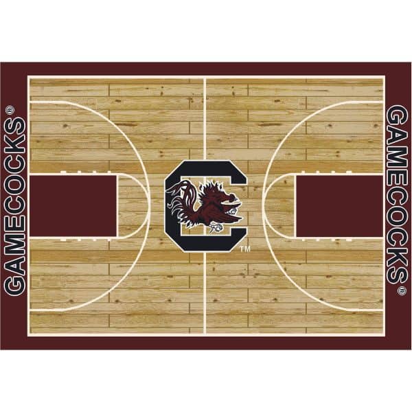 University of South Carolina 4x6 Courtside Rug
