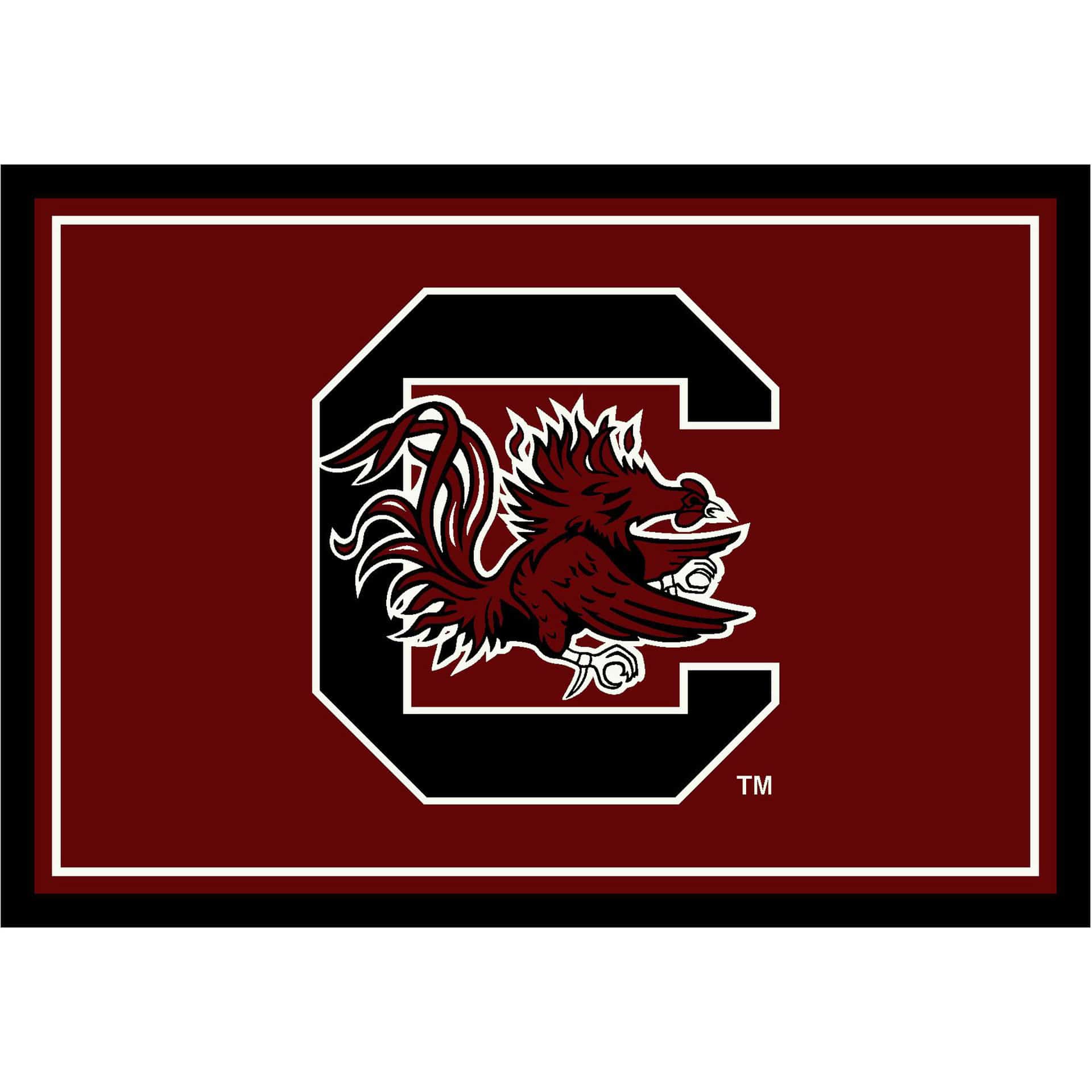 University of South Carolina 4x6 Spirit Rug 2 University of South Carolina 4x6 Spirit Rug - Image 2