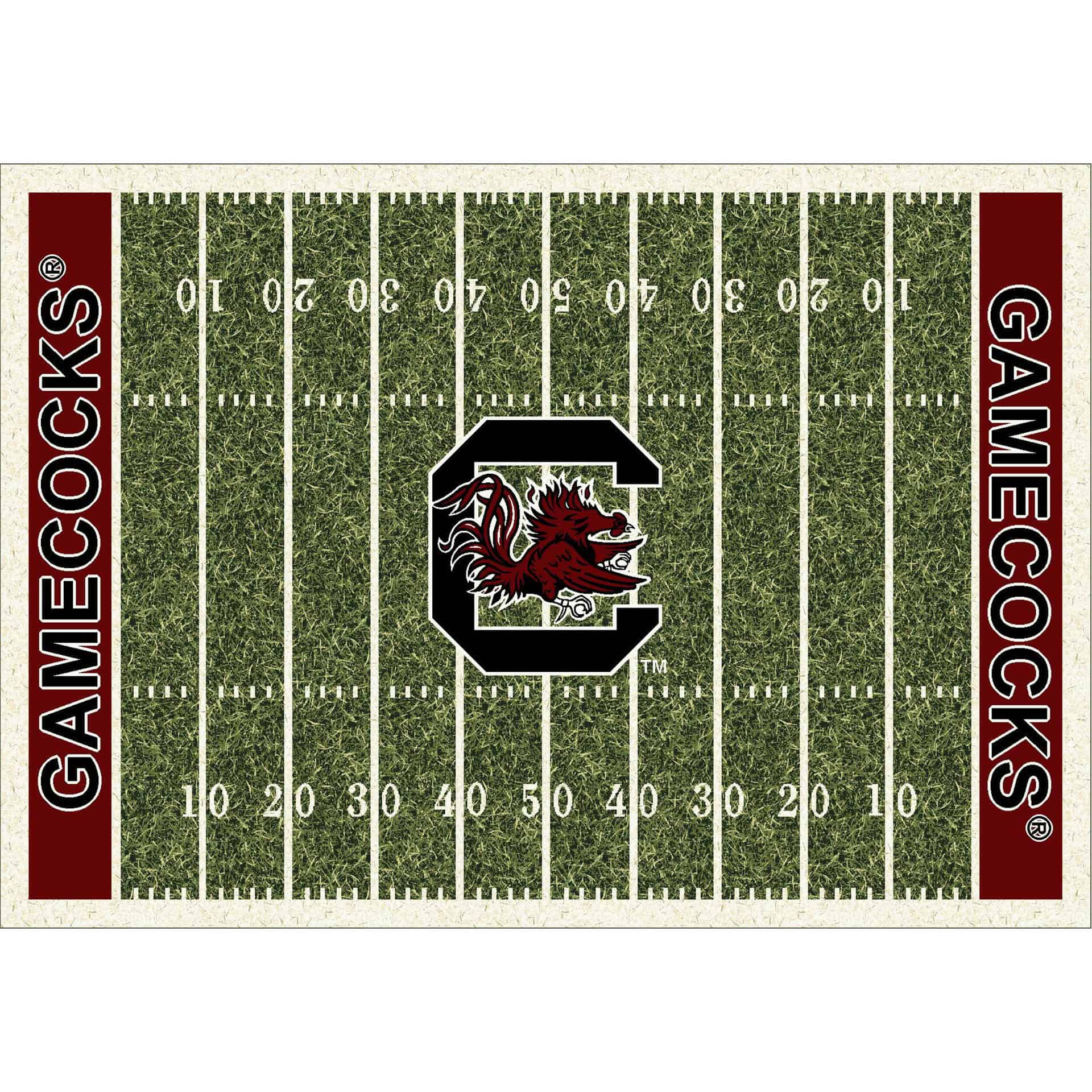 University of South Carolina 6x8 Homefield Rug 2 University of South Carolina 6x8 Homefield Rug - Image 2