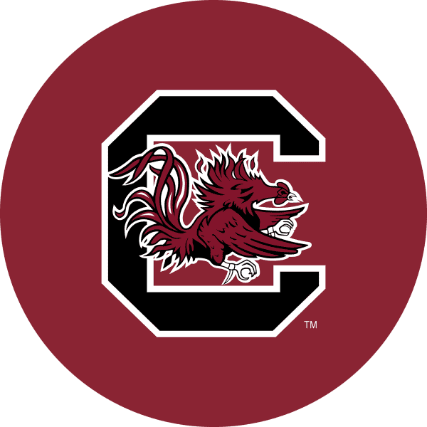 University of South Carolina Chrome Bar Stool 4