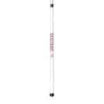 University of South Carolina Short Cue 4 University of South Carolina Short Cue