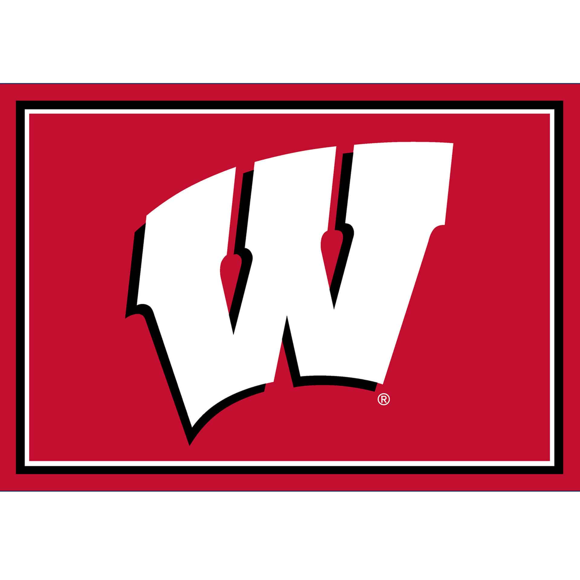 University of Wisconsin 3x4 Area Rug 4 University of Wisconsin 3x4 Area Rug - Image 4