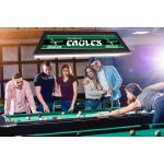 Vintage Philadelphia Eagles 42 Inch Acrylic Billiard Lamp