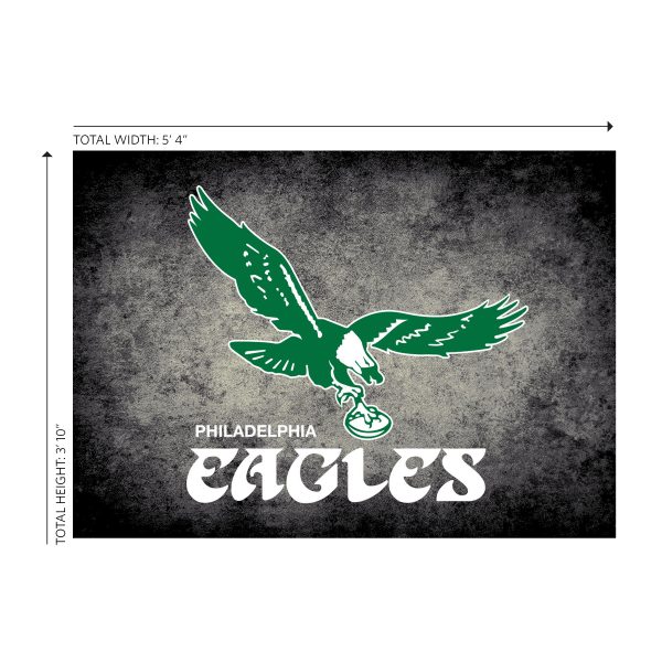 Vintage Philadelphia Eagles 4x6 Distressed Area Rug 2