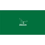 Vintage Philadelphia Eagles 8 ft Billiard Cloth