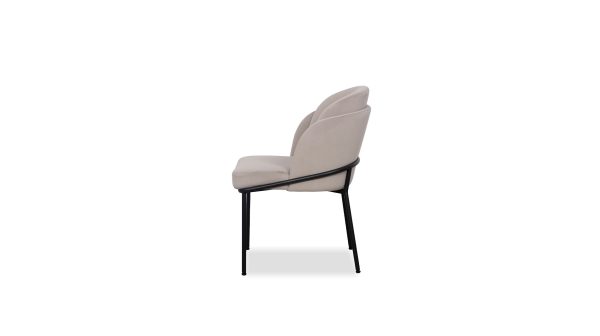 WALLEN Champagne Dining Chair Black Base 1 2