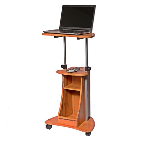 Adjustable Height Mobile Sit Stand Laptop Desk with Storage