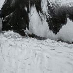 Water Horses III 1 by PH Burchett a Hand Embelished Textured Framed Art Print Matted under Glass 19 Water Horses III 1 by PH Burchett a Hand Embelished Textured Framed Art Print Matted under Glass