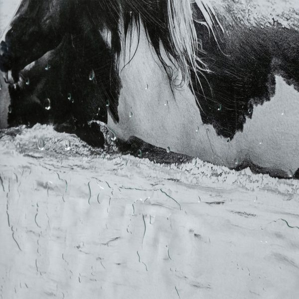 Water Horses III 1 by PH Burchett a Hand Embelished Textured Framed Art Print Matted under Glass 8