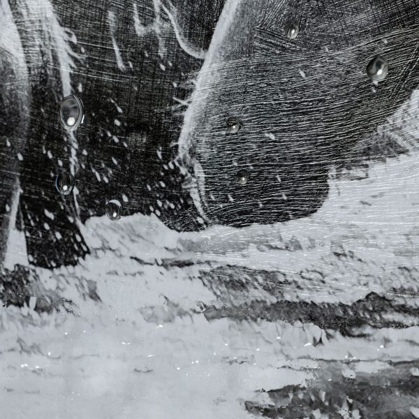 Water Horses III 1 by PH Burchett a Hand Embelished Textured Framed Art Print Matted under Glass 9