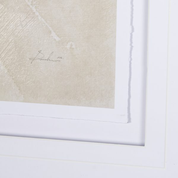 Wildflower II by Mercana Studio a Hand Embelished Textured Framed Art Print Matted under Glass 6