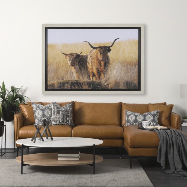 Young and Old Highlander by Mercana Studio Hand Embelished Framed Art Print Matted under Glass 1