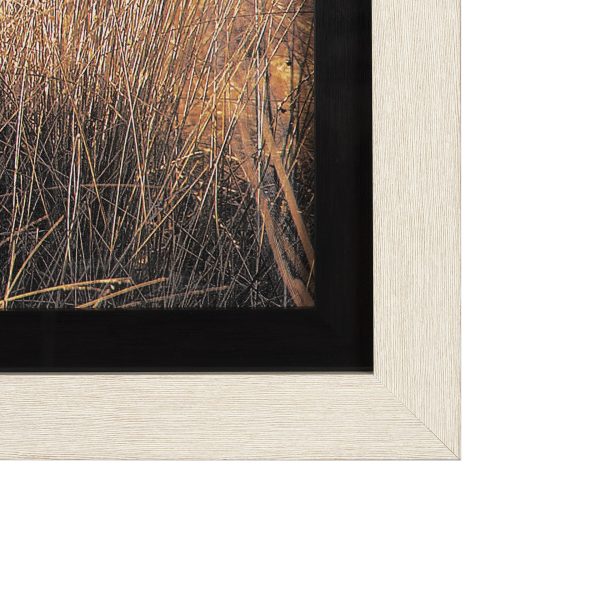 Young and Old Highlander by Mercana Studio Hand Embelished Framed Art Print Matted under Glass 3