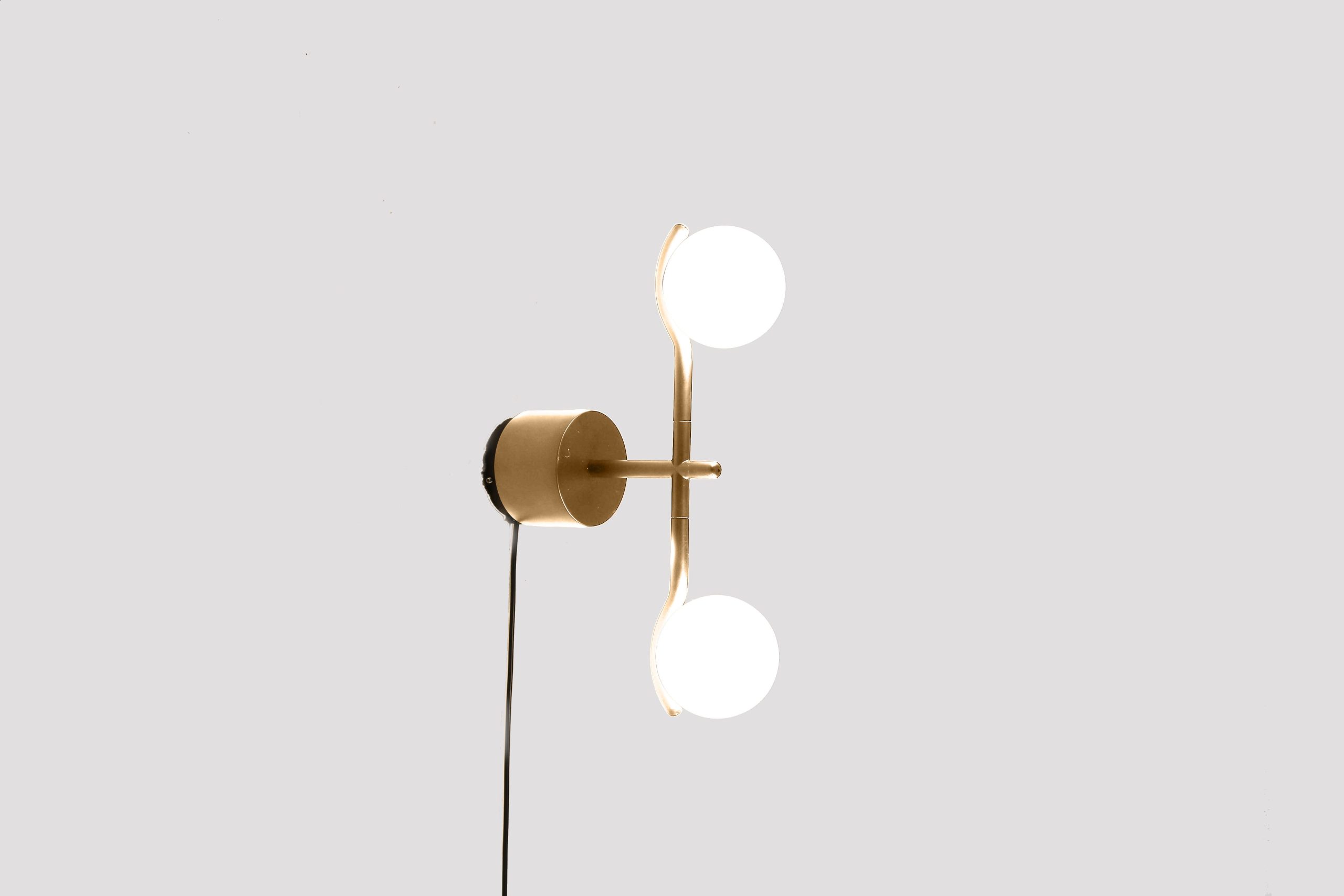 pluto brass powder coated frame wall lamp