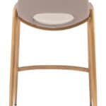 Beige and Gold Mid-Century Modern Counter Stool with Footrest (Set of 2)
