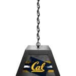 University of California Pendant Box Light 5 University of California Pendant Box Light