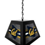 University of California Pendant Box Light 6 University of California Pendant Box Light