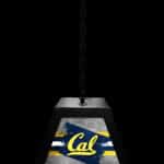 University of California Pendant Box Light 7 University of California Pendant Box Light
