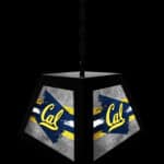 University of California Pendant Box Light 8 University of California Pendant Box Light