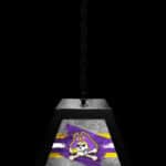 East Carolina University Pendant Box Light