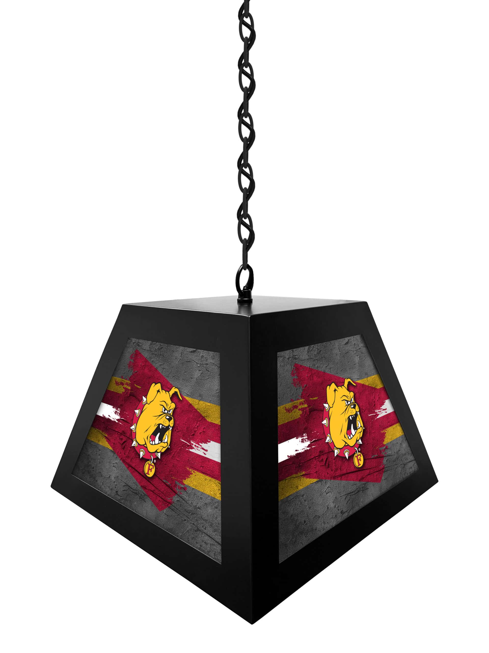 Ferris State University Pendant Box Light 6 Ferris State University Pendant Box Light