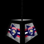Florida Panthers Pendant Box Light