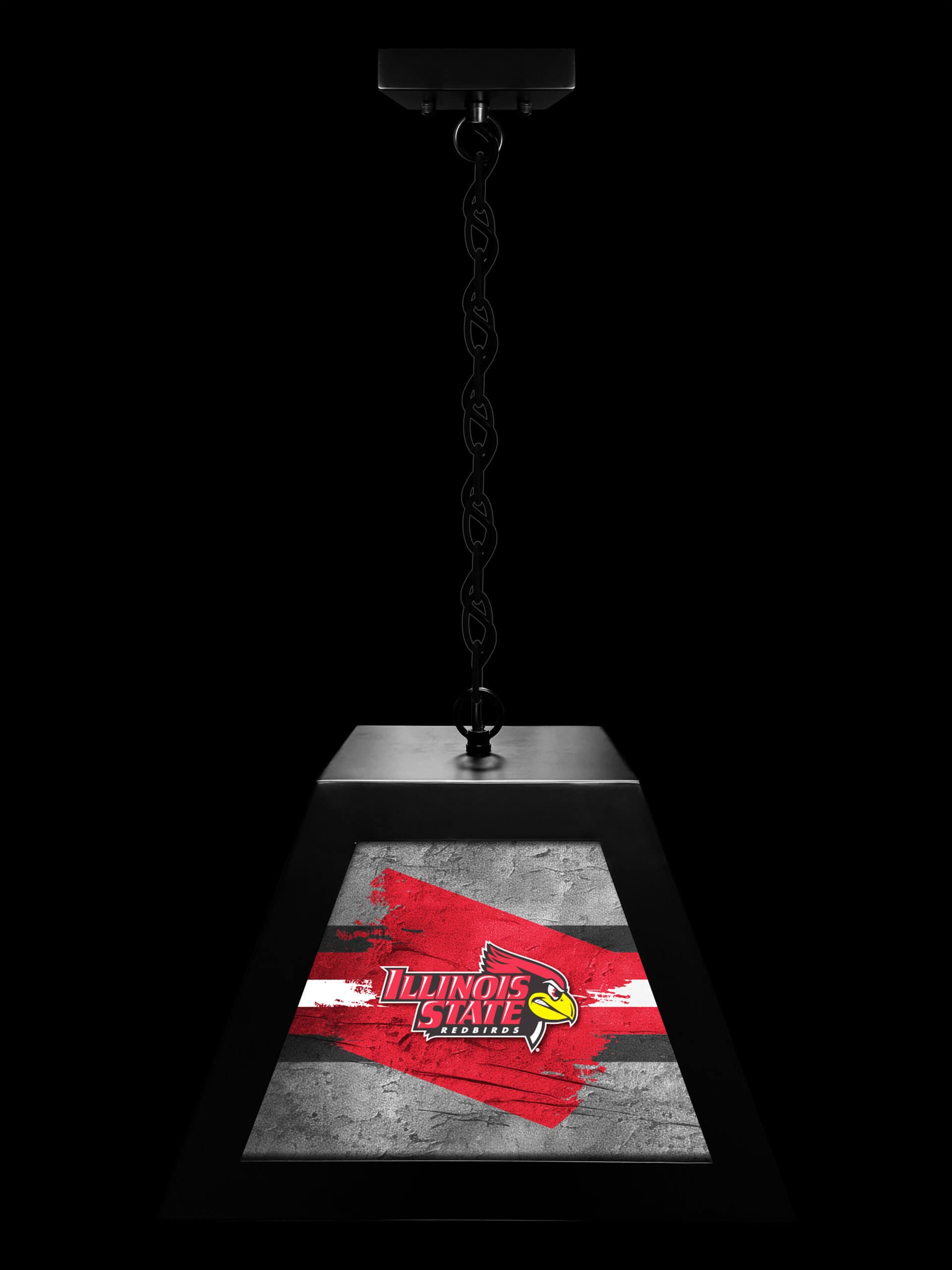 Illinois State University Pendant Box Light 7 Illinois State University Pendant Box Light
