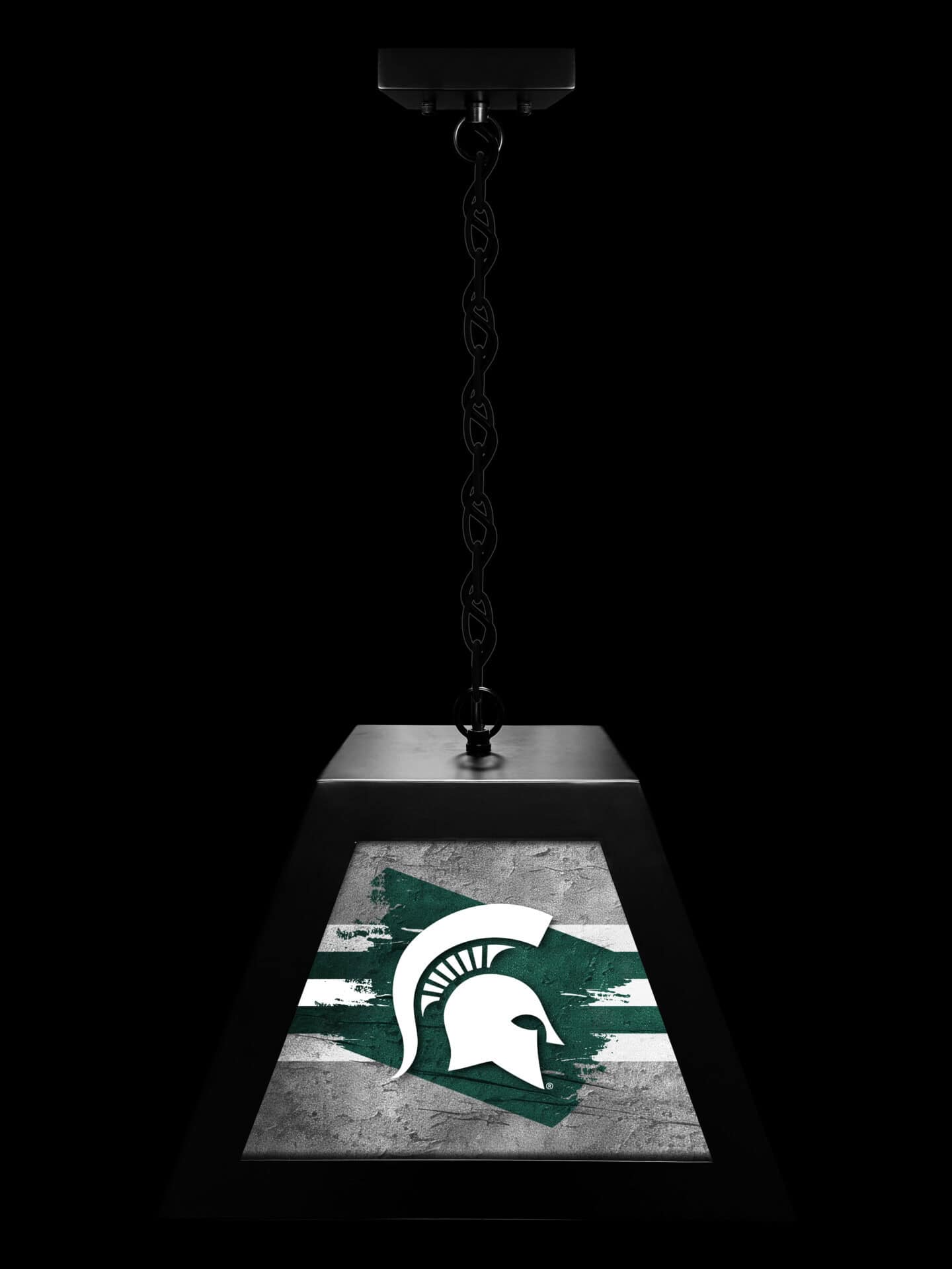Michigan State University Pendant Box Light 3 Michigan State University Pendant Box Light - Image 3