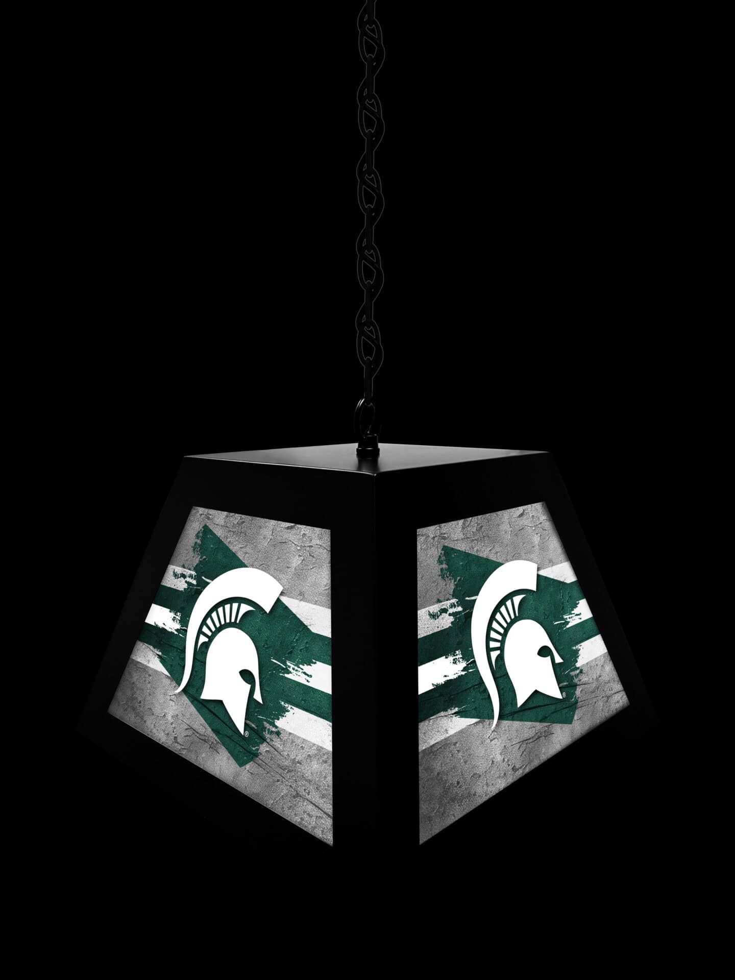 Michigan State University Pendant Box Light 4 Michigan State University Pendant Box Light - Image 4