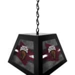 University of Montana Pendant Box Light 6 University of Montana Pendant Box Light