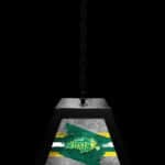 North Dakota State University Pendant Box Light