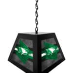 University of North Dakota Pendant Box Light