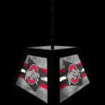 Ohio State University Pendant Box Light