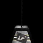 Purdue Pendant Box Light
