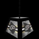 Purdue Pendant Box Light