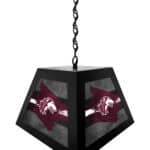 Southern Illinois University Pendant Box Light 6 Southern Illinois University Pendant Box Light