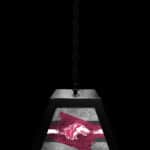 Southern Illinois University Pendant Box Light 7 Southern Illinois University Pendant Box Light