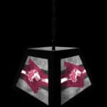Southern Illinois University Pendant Box Light 8 Southern Illinois University Pendant Box Light