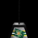 University of Vermont Pendant Box Light 7 University of Vermont Pendant Box Light