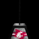 Washington State University Pendant Box Light 7 Washington State University Pendant Box Light