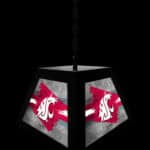 Washington State University Pendant Box Light 8 Washington State University Pendant Box Light