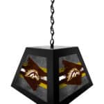Western Michigan University Pendant Box Light