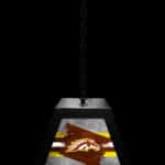 Western Michigan University Pendant Box Light