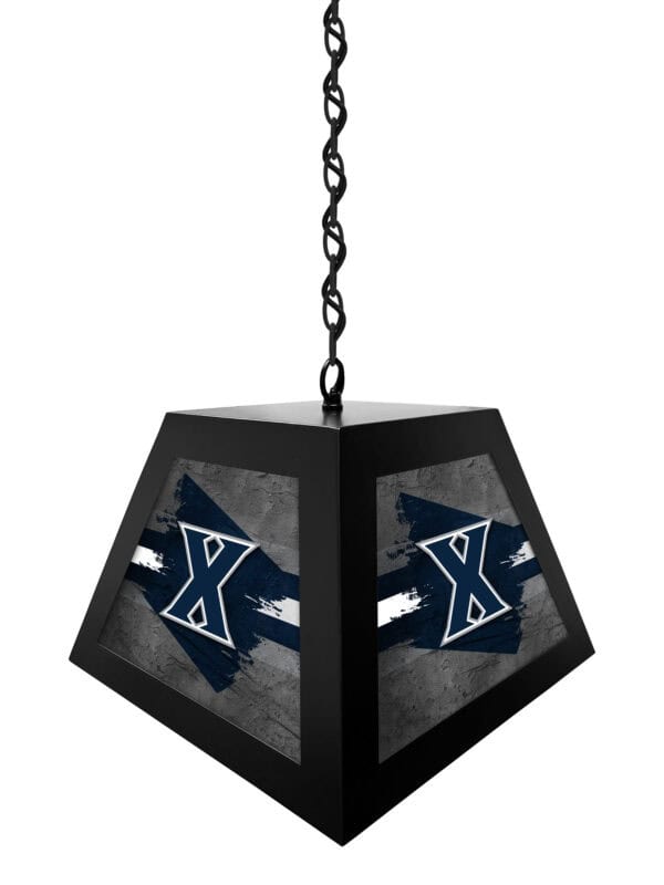 bxlm1bkxavier 2